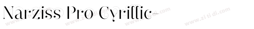 Narziss Pro Cyrillic字体转换